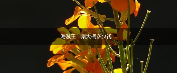 海贼王一集大概多少钱,第1张