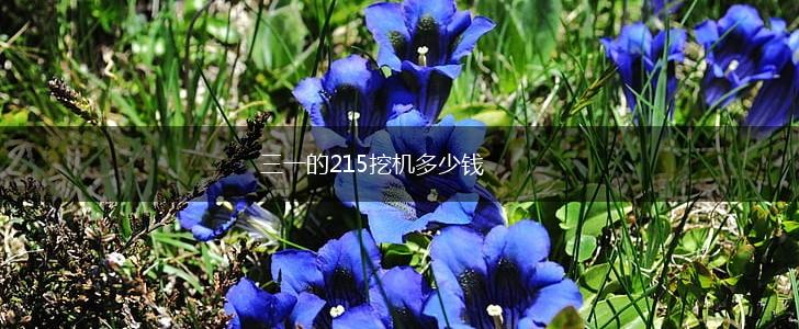 三一的215挖机多少钱,第1张