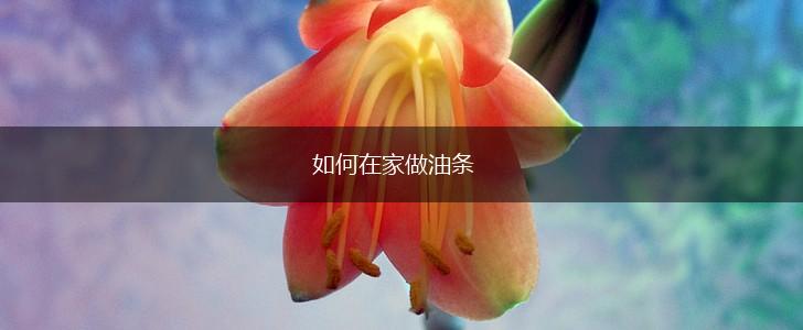 如何在家做油条,第1张