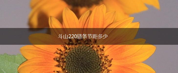 斗山220链条节距多少,第1张