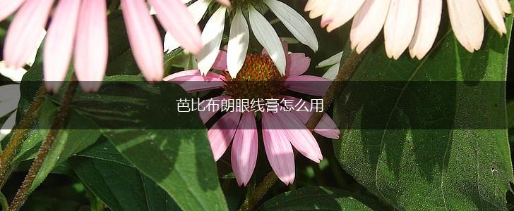 芭比布朗眼线膏怎么用,第1张
