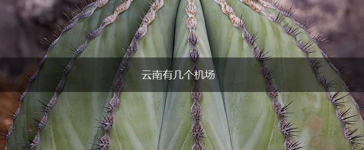 云南有几个机场,第1张