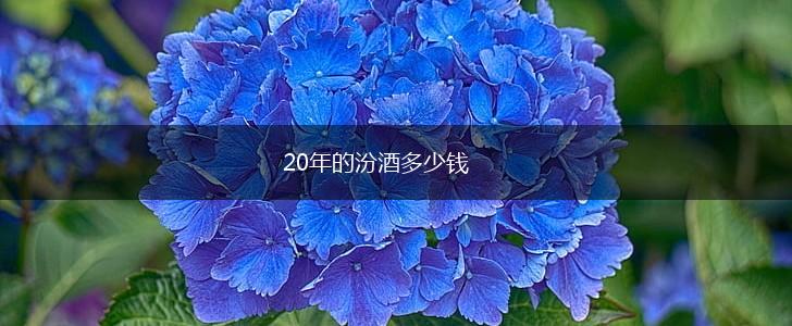 20年的汾酒多少钱,第1张