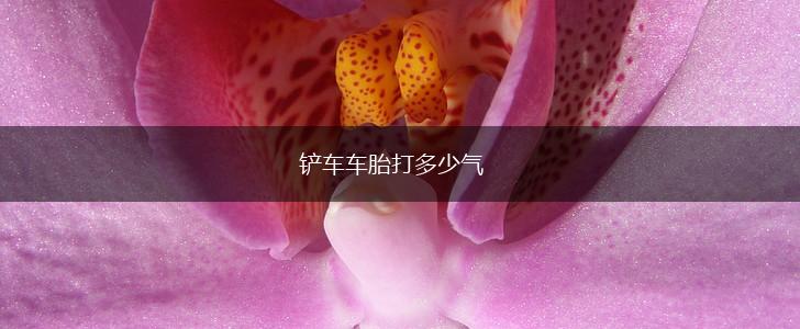 铲车车胎打多少气,第1张