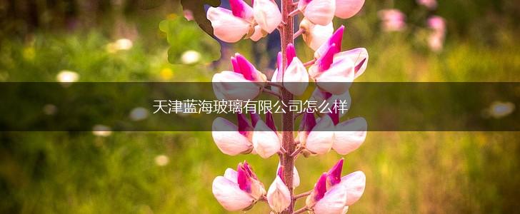 天津蓝海玻璃有限公司怎么样,第1张
