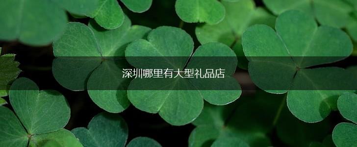 深圳哪里有大型礼品店,第1张