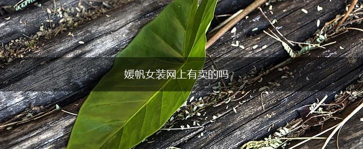 媛帆女装网上有卖的吗,第1张