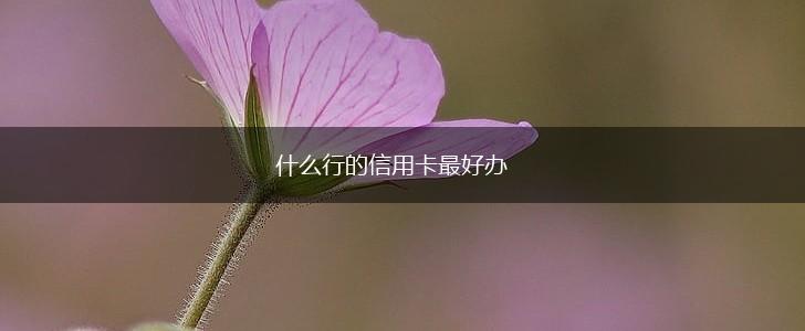 什么行的信用卡最好办,第1张