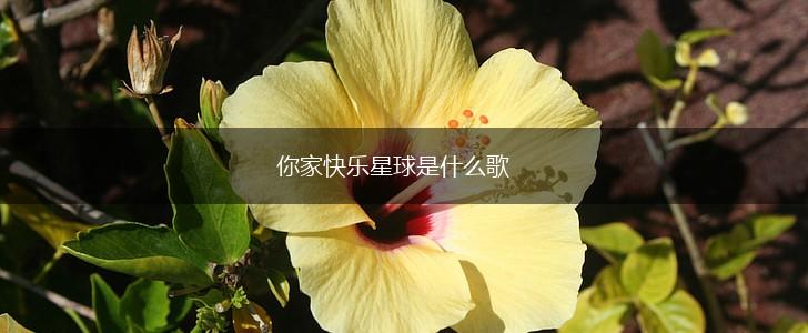 你家快乐星球是什么歌,第1张