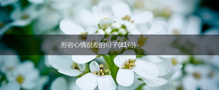 形容心情很差的句子(81句),第1张