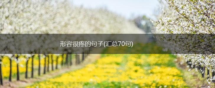 形容很疼的句子(汇总70句),第1张