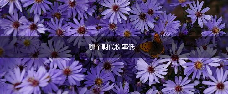 哪个朝代税率低,第1张