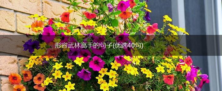 形容武林高手的句子(优选40句),第1张