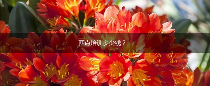 西点培训多少钱？,第1张