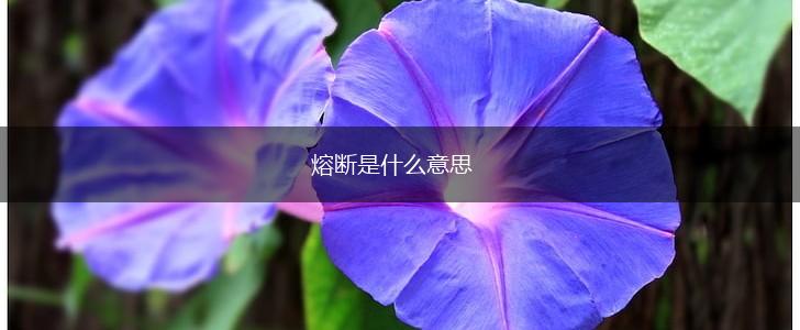 熔断是什么意思,第1张