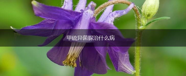 甲硫异菌脲治什么病,第1张