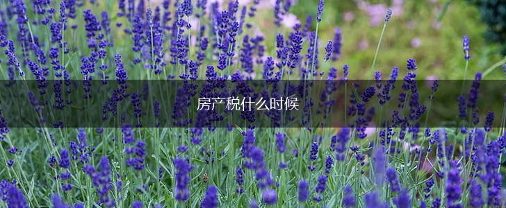 房产税什么时候,第1张