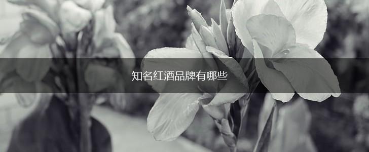 知名红酒品牌有哪些,第1张