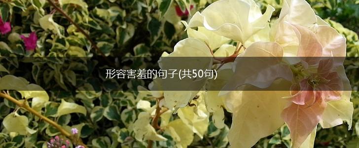 形容害羞的句子(共50句),第1张