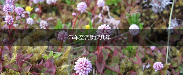 汽车空调质保几年,第1张