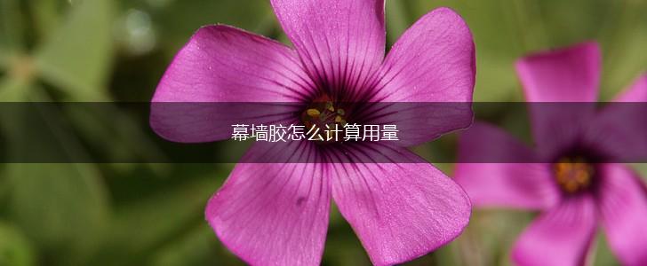 幕墙胶怎么计算用量,第1张
