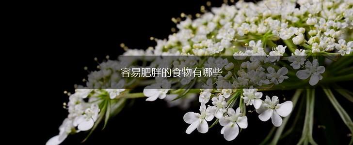 容易肥胖的食物有哪些,第1张