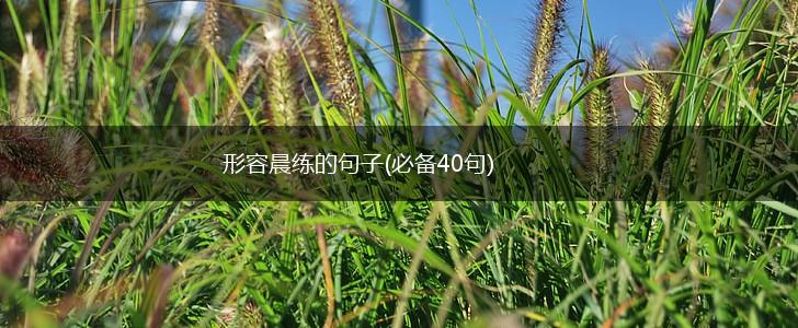形容晨练的句子(必备40句),第1张