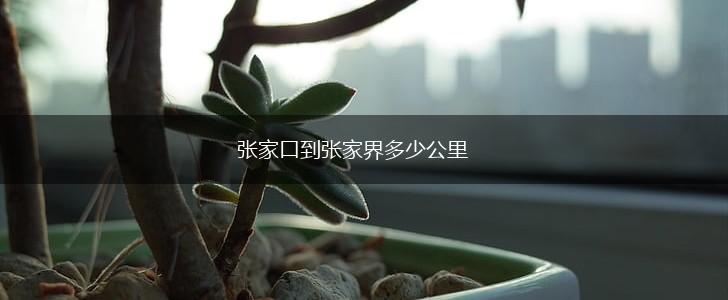 张家口到张家界多少公里,第1张