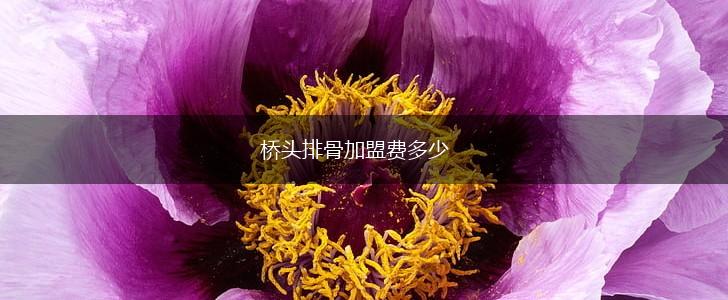 桥头排骨加盟费多少,第1张