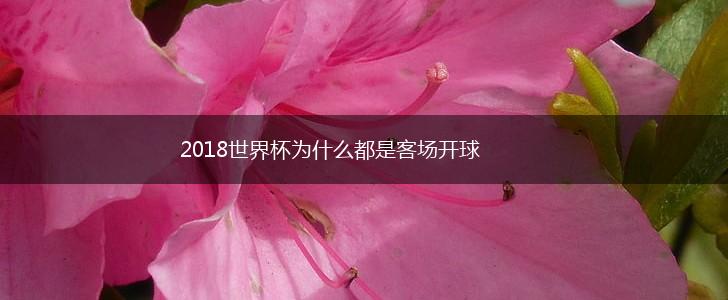2018世界杯为什么都是客场开球,第1张