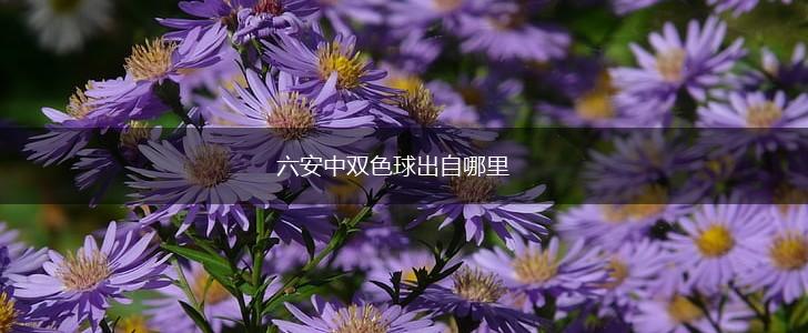 六安中双色球出自哪里,第1张