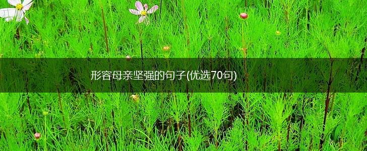 形容母亲坚强的句子(优选70句),第1张