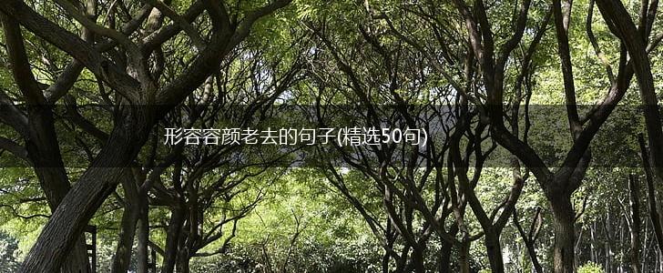 形容容颜老去的句子(精选50句),第1张
