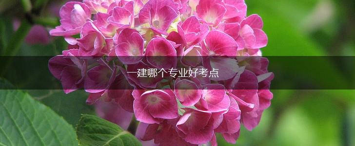 一建哪个专业好考点,第1张