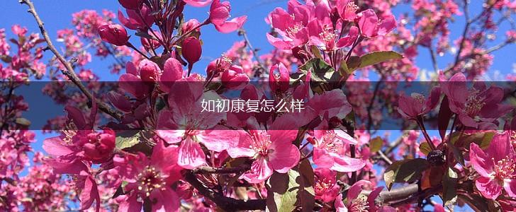 如初康复怎么样,第1张