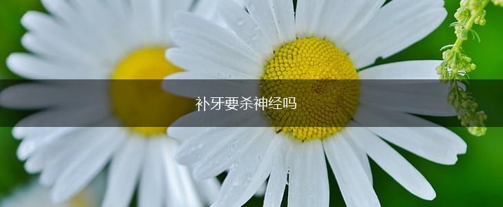 补牙要杀神经吗,第1张