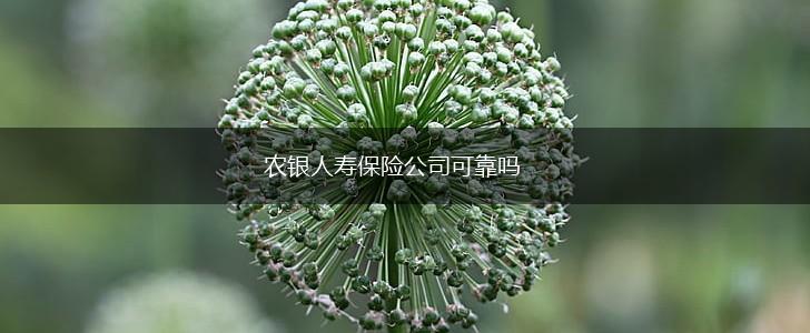 农银人寿保险公司可靠吗,第1张