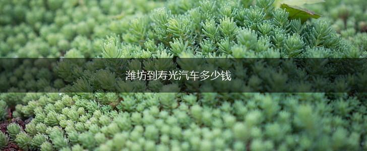 潍坊到寿光汽车多少钱,第1张