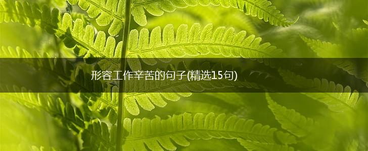 形容工作辛苦的句子(精选15句),第1张