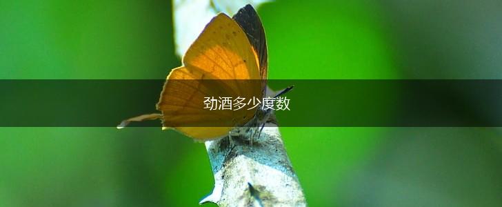 劲酒多少度数,第1张