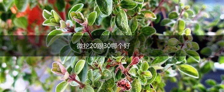 微挖20跟30哪个好,第1张