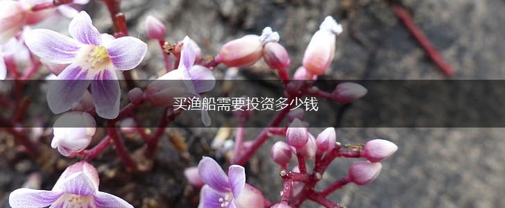 买渔船需要投资多少钱,第1张
