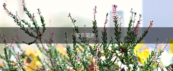 笨几笔画,第1张