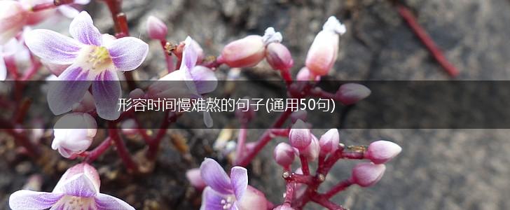 形容时间慢难熬的句子(通用50句),第1张
