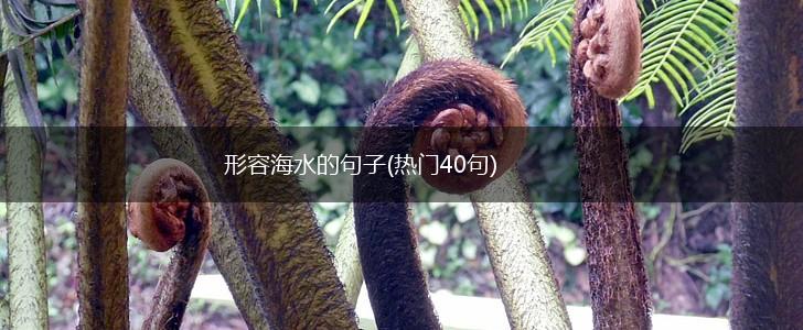 形容海水的句子(热门40句),第1张