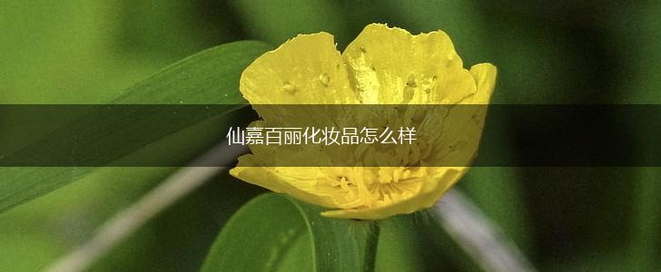 仙嘉百丽化妆品怎么样,第1张
