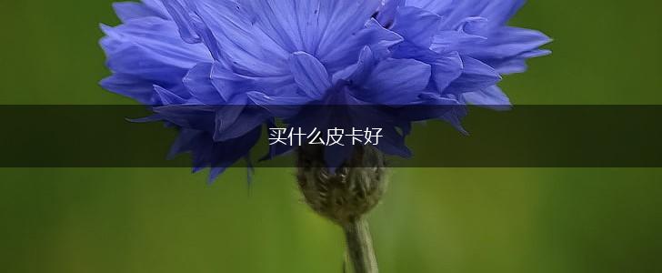 买什么皮卡好,第1张