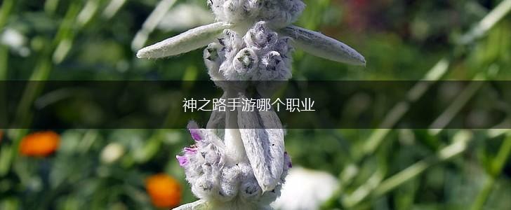 神之路手游哪个职业,第1张