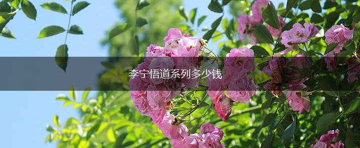 李宁悟道系列多少钱,第1张