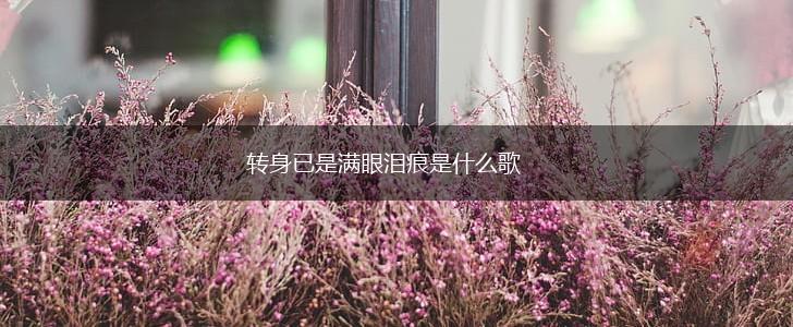 转身已是满眼泪痕是什么歌,第1张